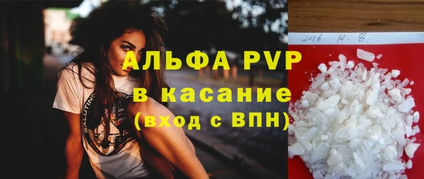 стаф Беломорск