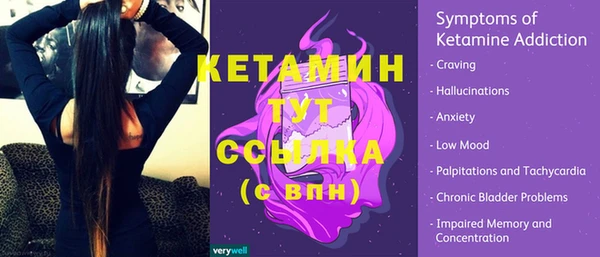 стаф Беломорск