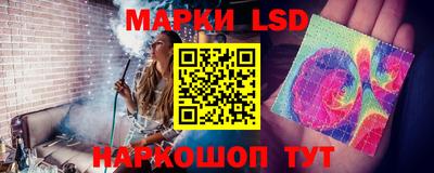 шишки Аргун