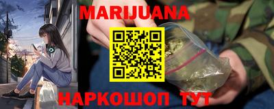 шишки Аргун