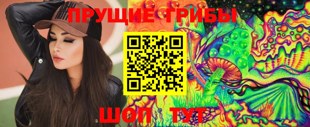 продажа наркотиков  Псилоцибиновые грибы Psilocybine cubensis  Псилоцибиновые грибы Magic Shrooms  Вход с VPN  Верхняя Пышма 