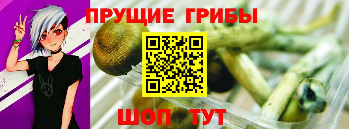 Галлюциногенные грибы мухоморы Верхняя Пышма